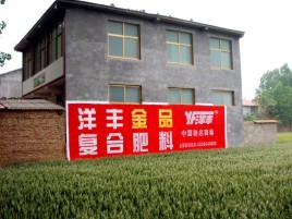 衡阳如何让墙体广告展现最大化效果