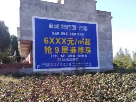 衡阳品牌公司青睐的墙体广告
