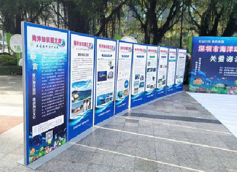 衡阳KT板的种类和知识。